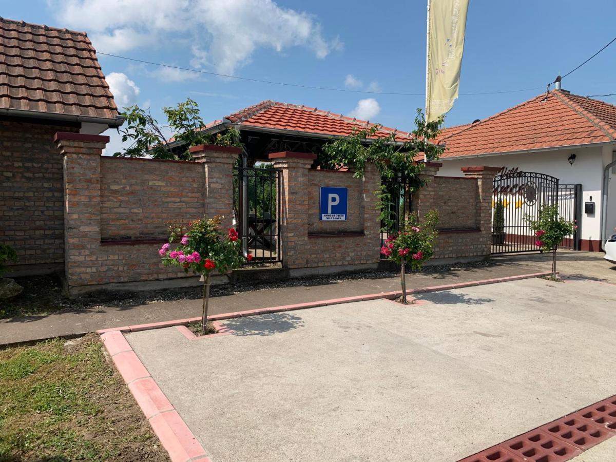 Vila Sunce Morović Exterior foto