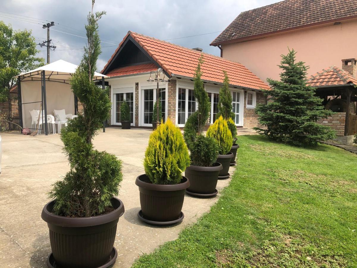 Vila Sunce Morović Exterior foto
