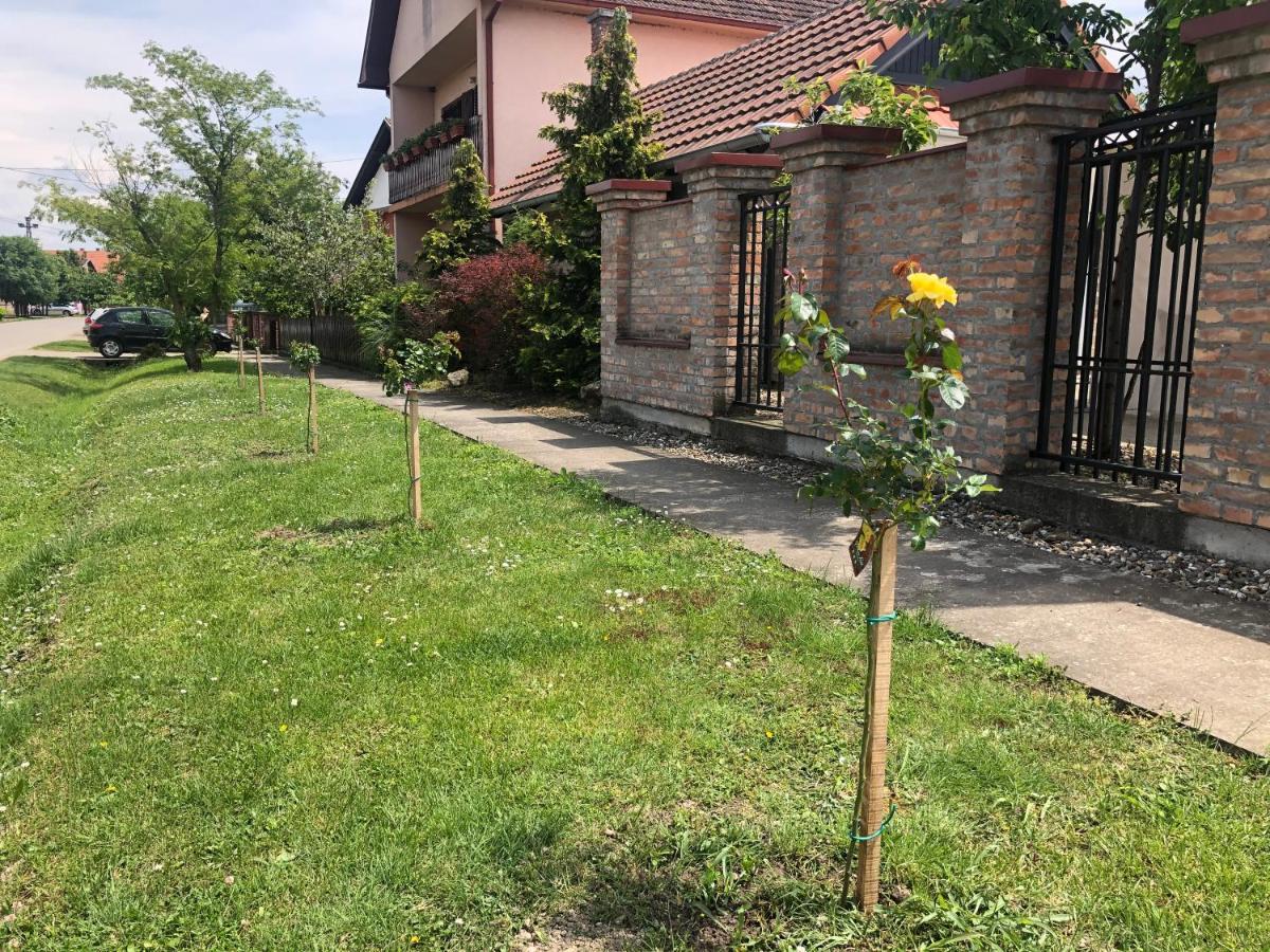 Vila Sunce Morović Exterior foto